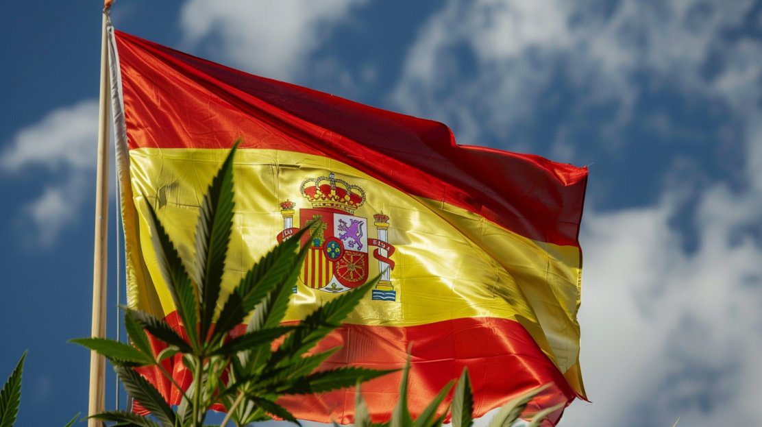 How to open a cannabis club in Spain