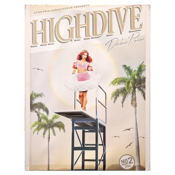 FCLHDDP High Dive Durban Poison Framed Canvas Large 60 x 80cm