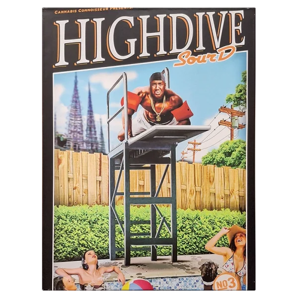 FCLHDSD High Dive Sour D Framed Canvas Large 60 x 80cm