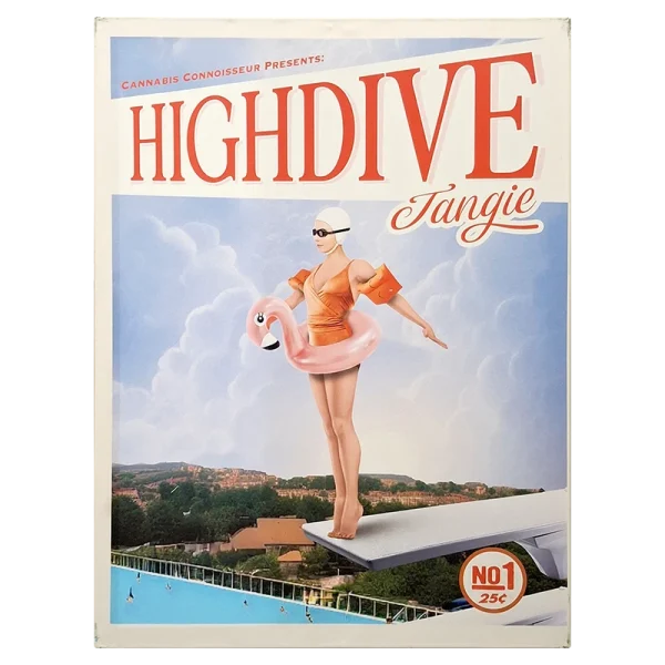 FCLHDT High Dive Tangie Framed Canvas Large 60 x 80cm