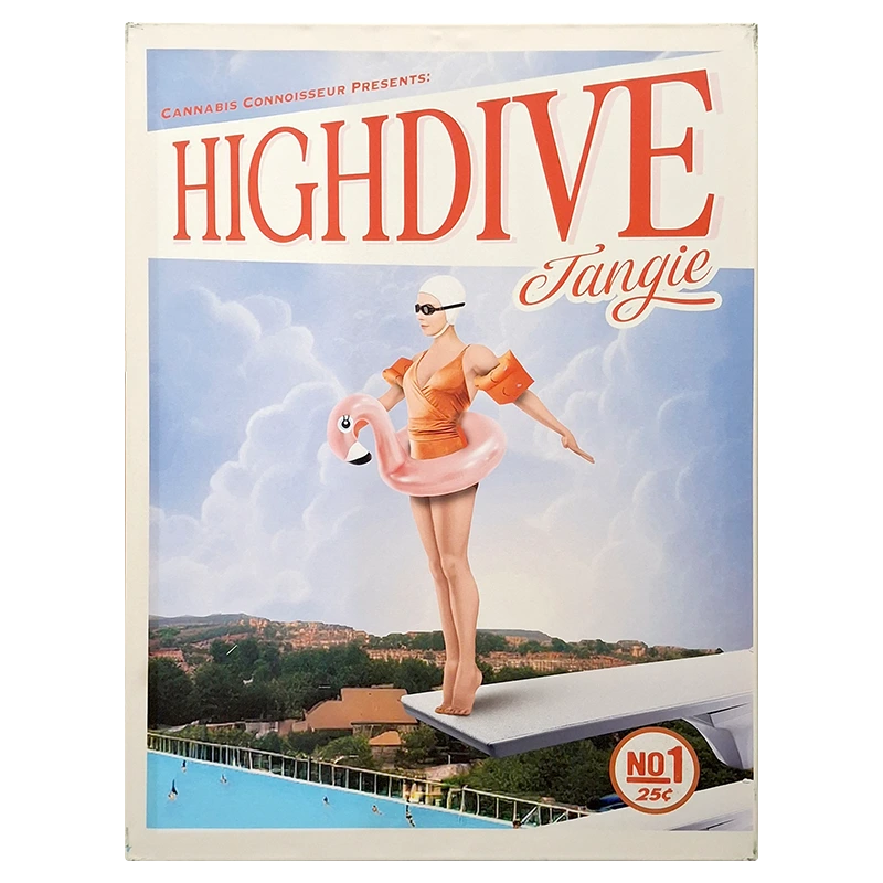 FCLHDT High Dive Tangie Framed Canvas Large 60 x 80cm