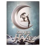FCLSH Silver Haze Framed Canvas Large 60 x 80cm
