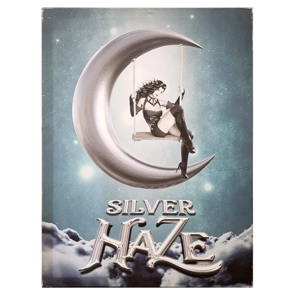 FCLSH Silver Haze Framed Canvas Large 60 x 80cm