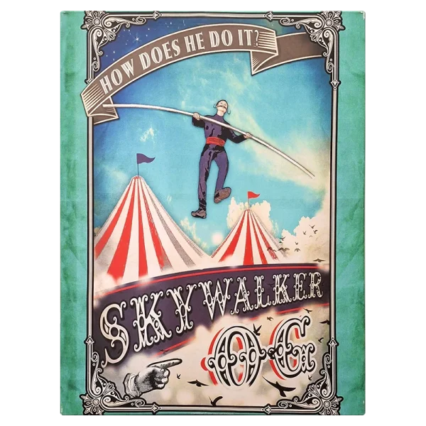 FCLSW Skywalker Framed Canvas Large 60 x 80cm