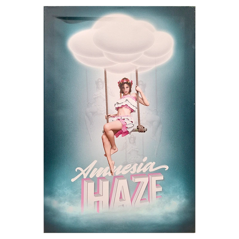 FCMAH Amnesia Haze Framed Canvas Medium 40 x 60cm