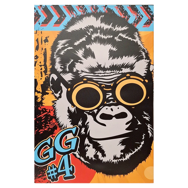 FCMGG Gorilla Glue #4 Framed Canvas Medium 40 x 60cm