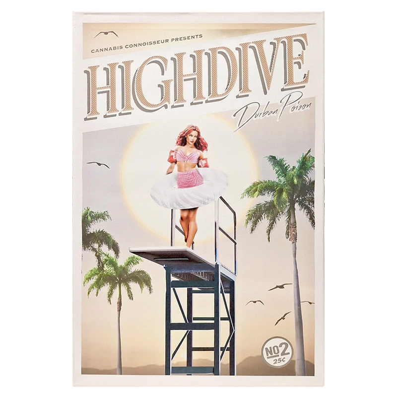 FCMHDDP High Dive Durban Poison Framed Canvas Medium 40 x 60cm