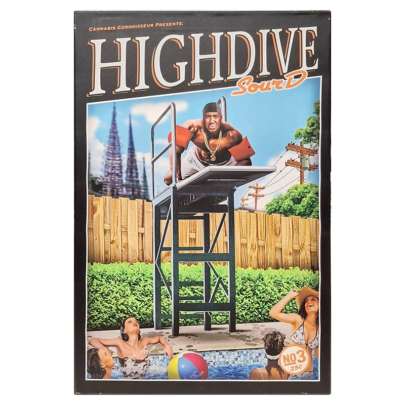 FCMHDSD High Dive Sour D Framed Canvas Medium 40 x 60cm