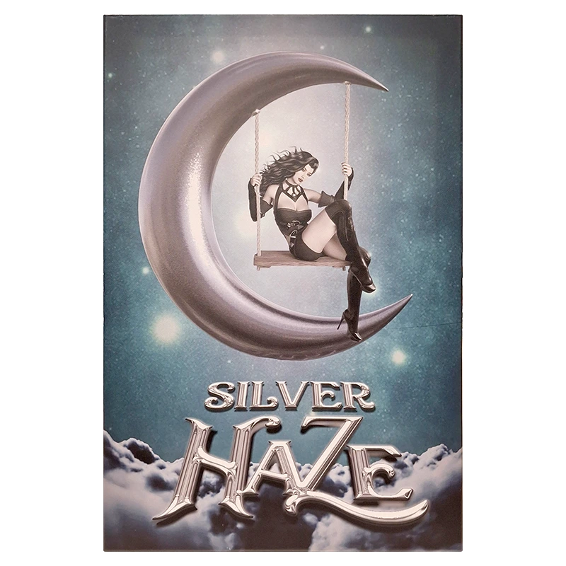 FCMSH Silver Haze Framed Canvas Medium 40 x 60cm