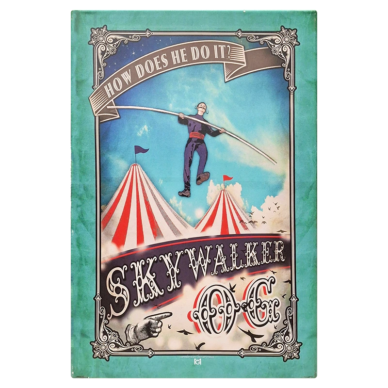 FCMSW Skywalker Framed Canvas Medium 40 x 60cm