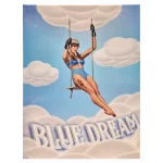 FCSBD Blue Dream Framed Canvas Small 30 x 40cm
