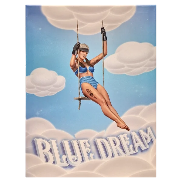 FCSBD Blue Dream Framed Canvas Small 30 x 40cm