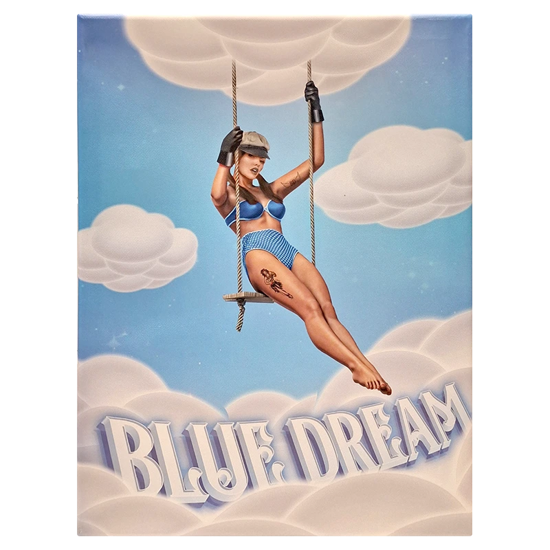 FCSBD Blue Dream Framed Canvas Small 30 x 40cm