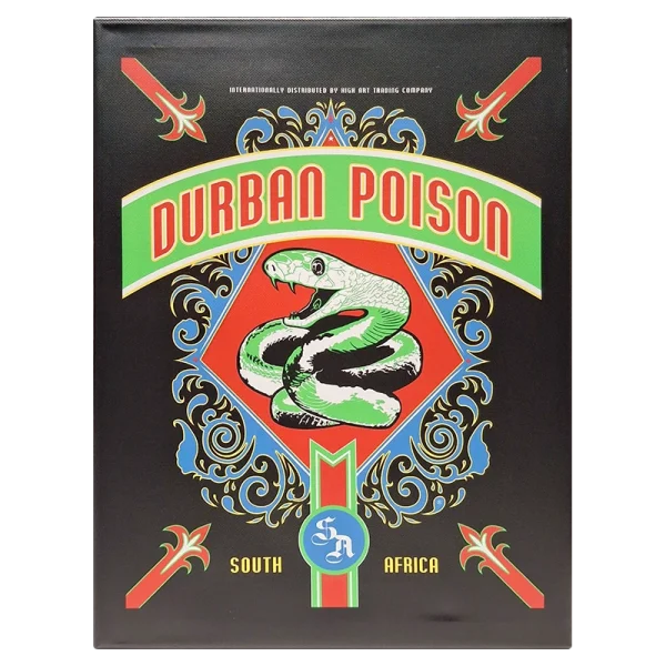 FCSDP Durban Poison Framed Canvas Small 30 x 40cm