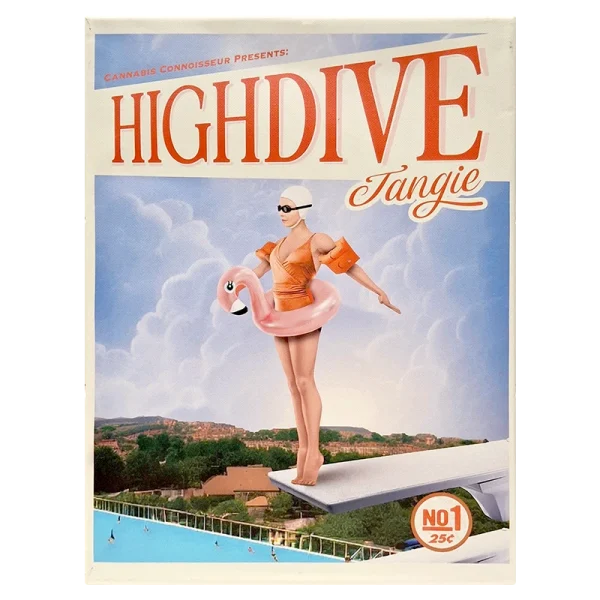 FCSHDT High Dive Tangie Framed Canvas Small 30 x 40cm