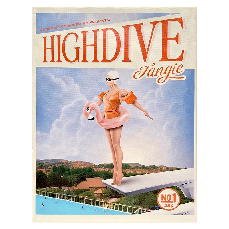 FCSHDT High Dive Tangie Framed Canvas Small 30 x 40cm