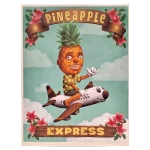 FCSPE Pineapple Express Framed Canvas Small 30 x 40cm