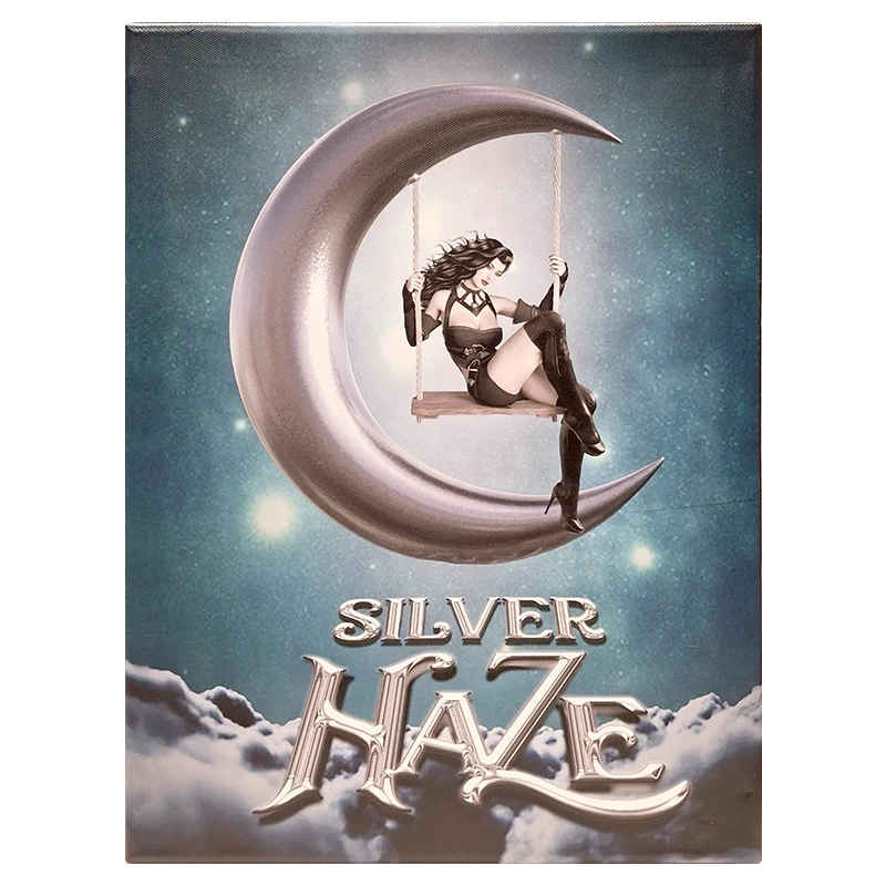 FCSSH Silver Haze Framed Canvas Small 30 x 40cm