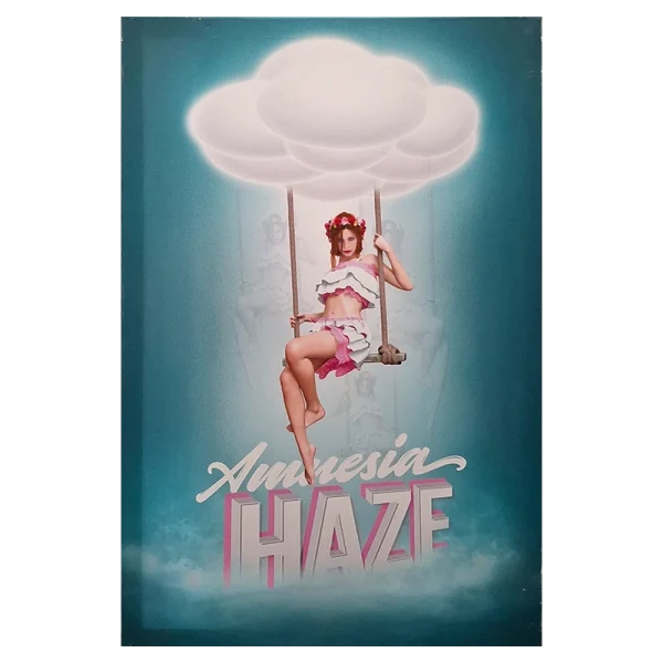 FCXLAH Amnesia Haze Framed Canvas Xtra Large 60 x 90cm