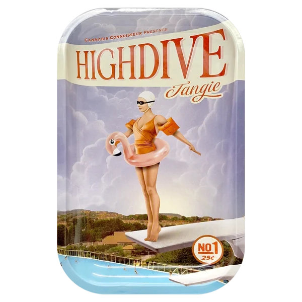 MRTHDT High Dive Tangie Metal Tray 29 x 19cm