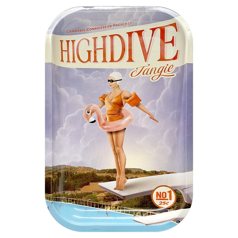 MRTHDT High Dive Tangie Metal Tray 29 x 19cm
