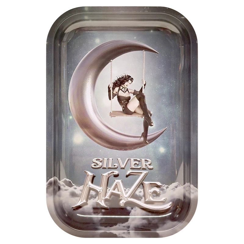 MRTSH Silver Haze Metal Tray 29 x 19cm